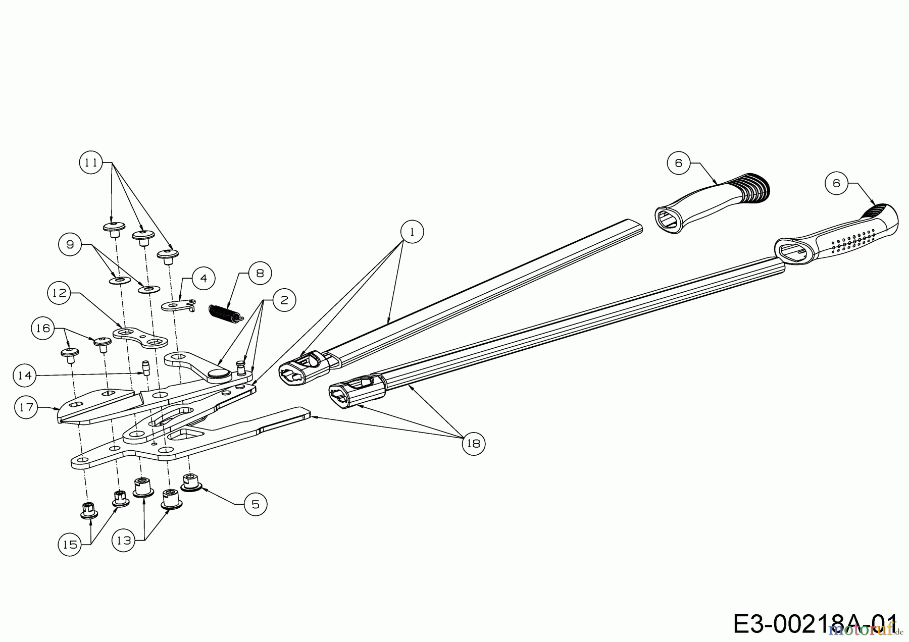 Wolf-Garten Astscheren RS 800 V 73AGA010650 (2022) Grundgerät